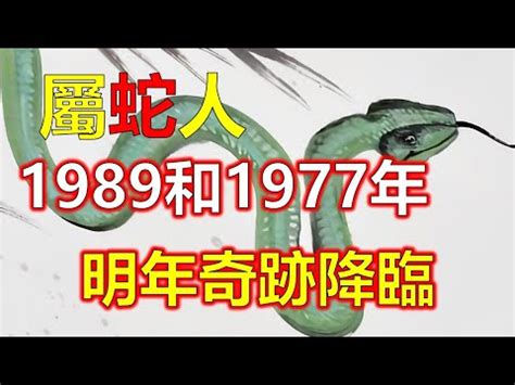 1989 五行|1989年属蛇是什么命，89年出生五行属什么